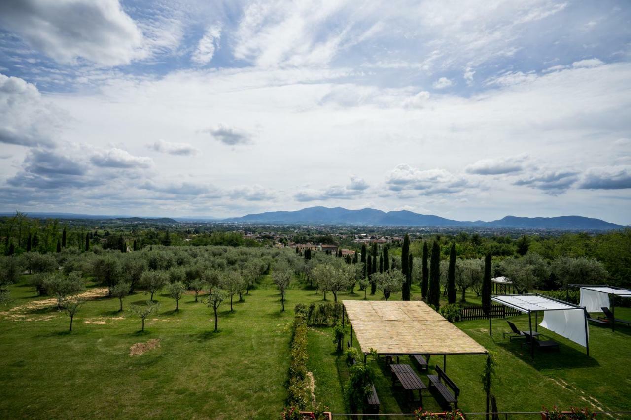 Accogliente Alloggio Con Vista E Piscina Lucca Ngoại thất bức ảnh
