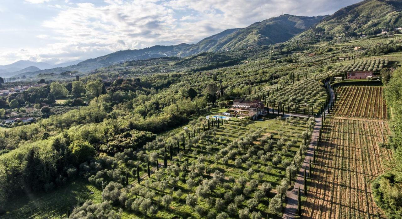 Accogliente Alloggio Con Vista E Piscina Lucca Ngoại thất bức ảnh